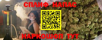 гашик Гай